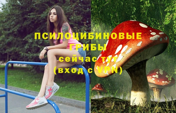 не бодяженный Алексин