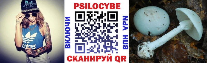 mega как зайти Усмань Псилоцибиновые грибы Psilocybe